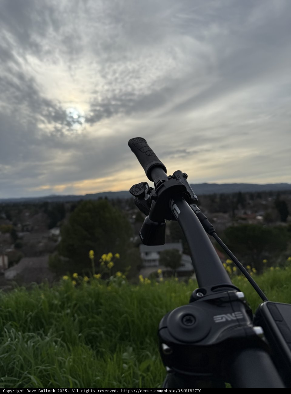 Skyward Glance at Lime Ridge