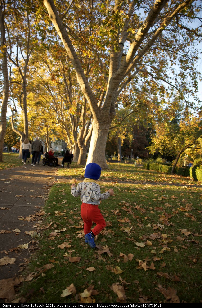 Autumn Adventure in Downtown Sonoma