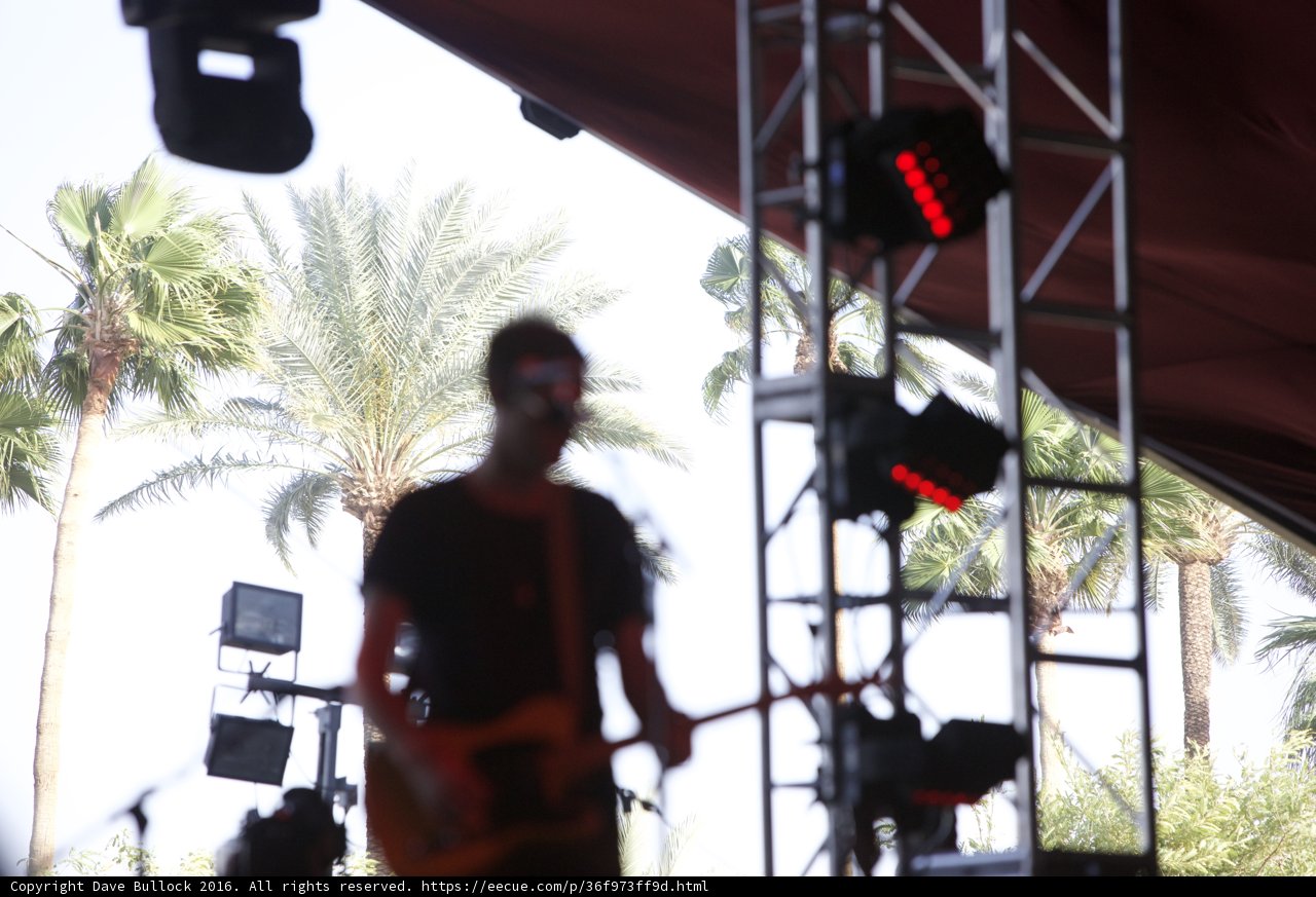Guitarist Performing Under the Palm Trees