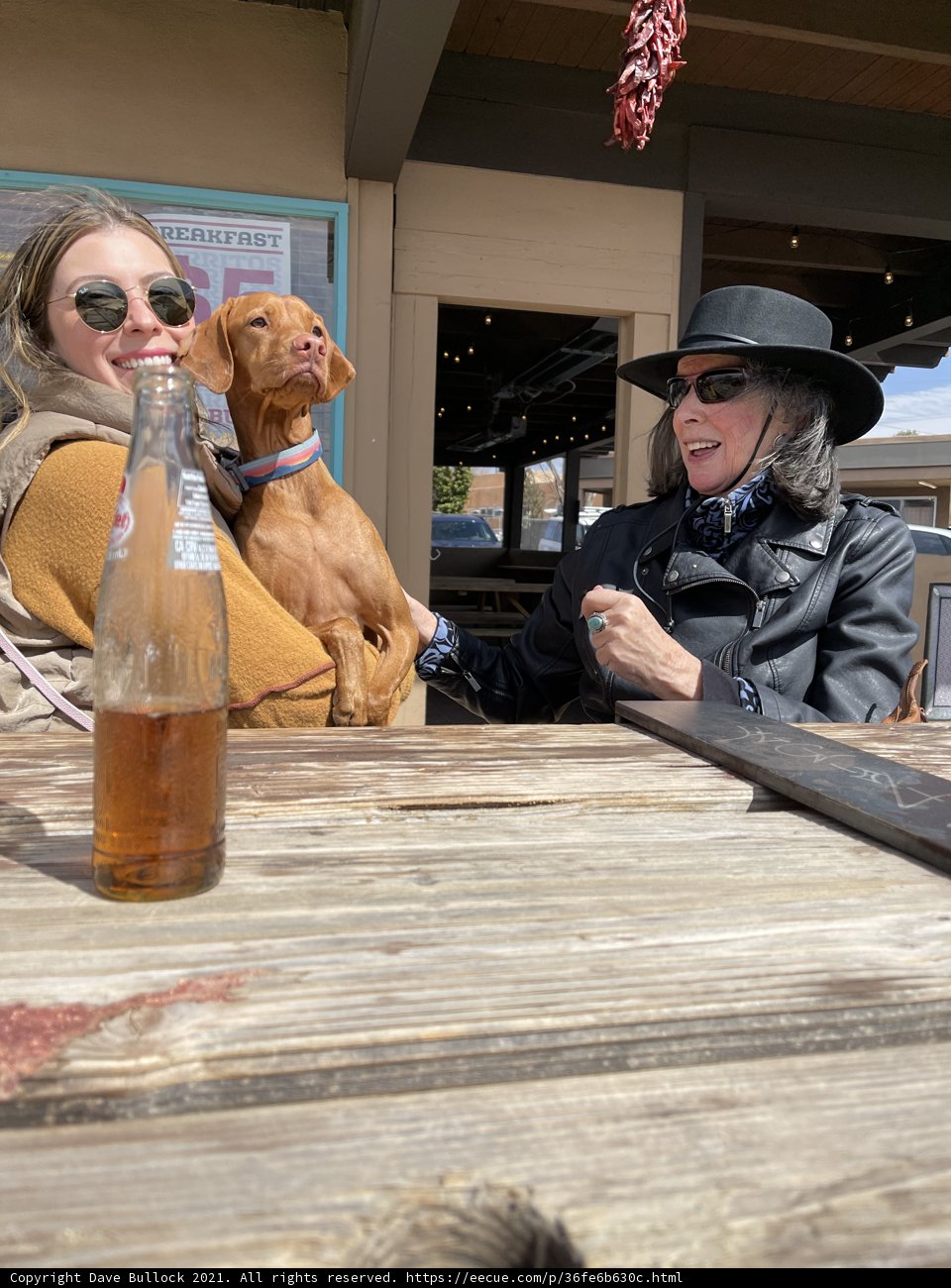 A Casual Outing with Rhoda, Lori, and Their Furry Companion