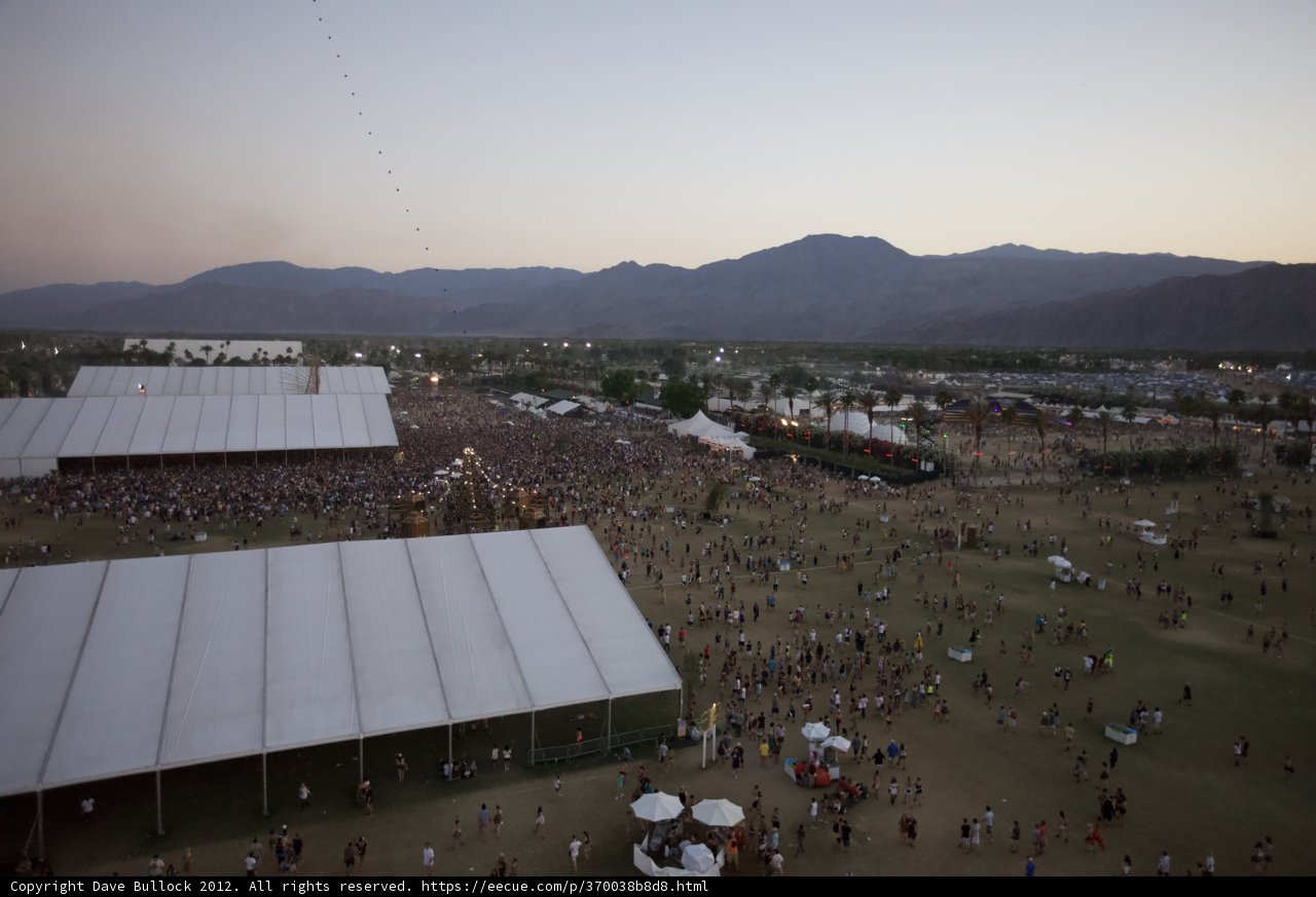 Sun-kissed Festival Crowd