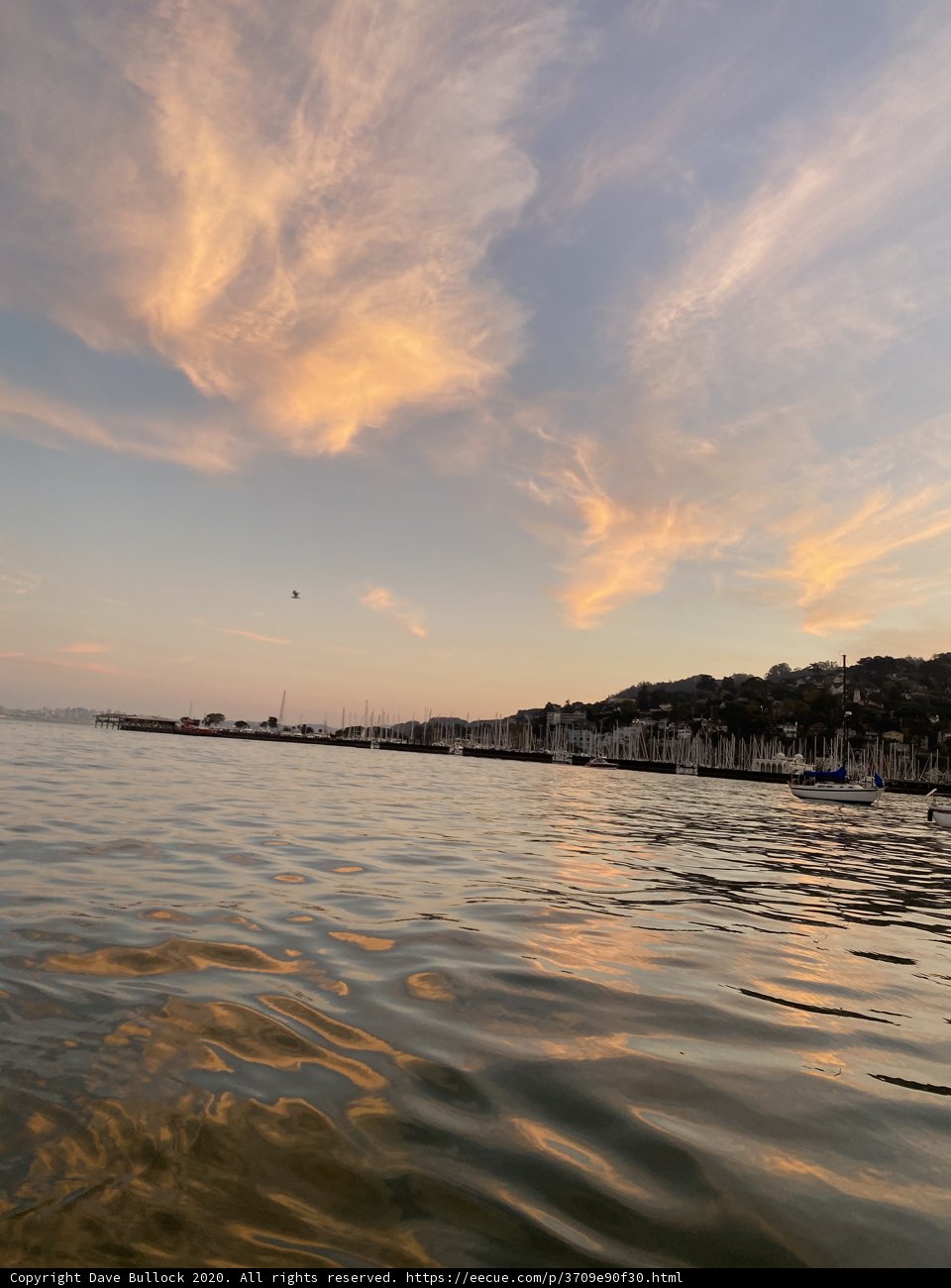 Golden Hour on Richardson Bay