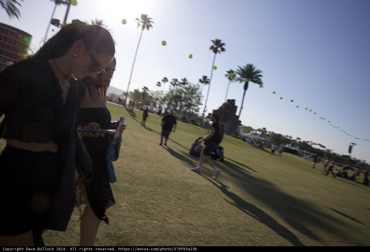 Palm Silhouettes and Playful Spirits at Coachella 2024