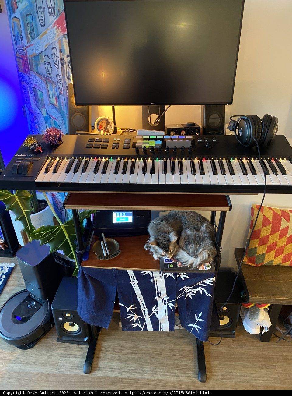 Cat Nap by the Keyboard