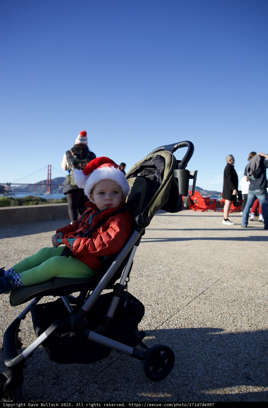 Dynamic Family Outing - SF Winter Day, 2023