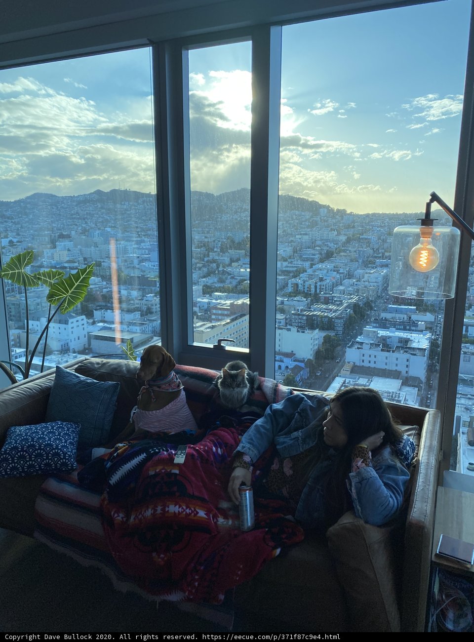 Cozy Afternoon in the Urban Shelter