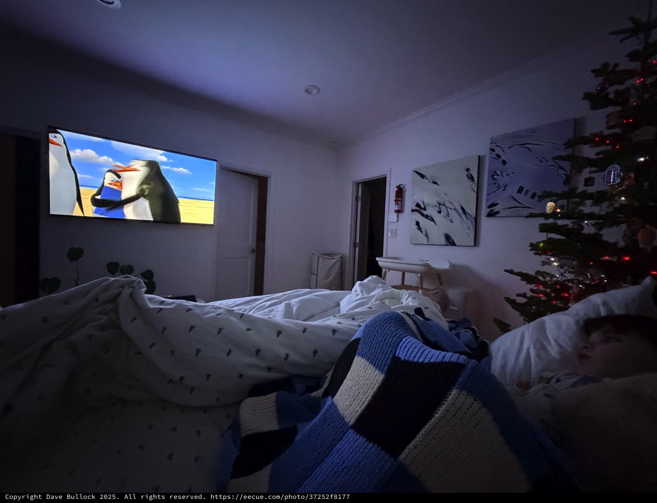 Cozy Movie Night Watching Penguins of Madagascar