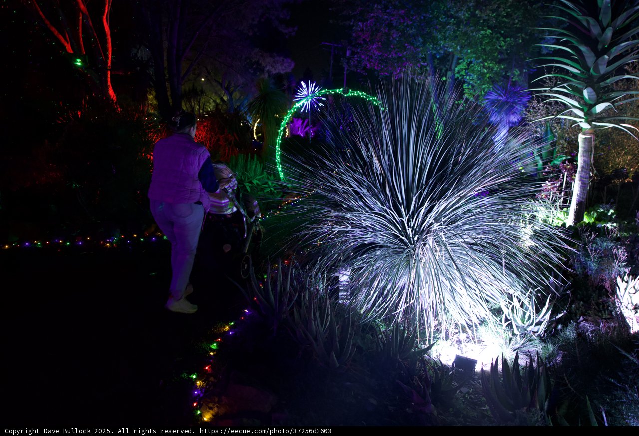 Enchanted Evening at the Garden of D’Lights