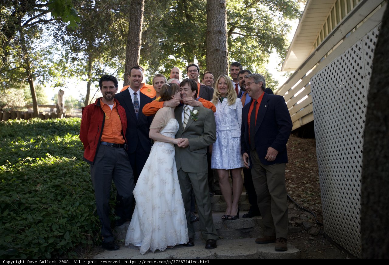 Truitt Wedding Party