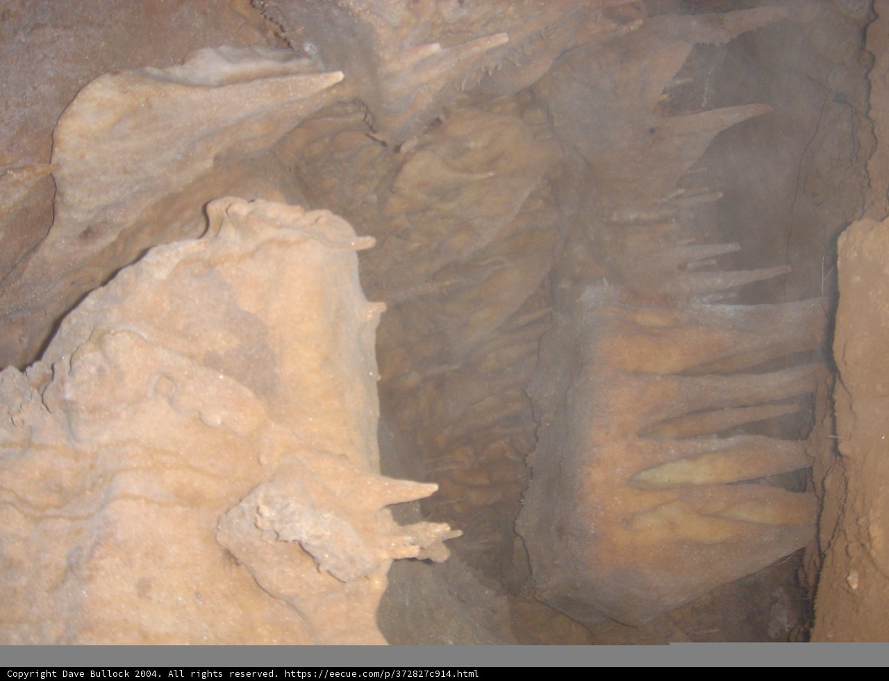 Exploring the Natural Wonders of the Cave