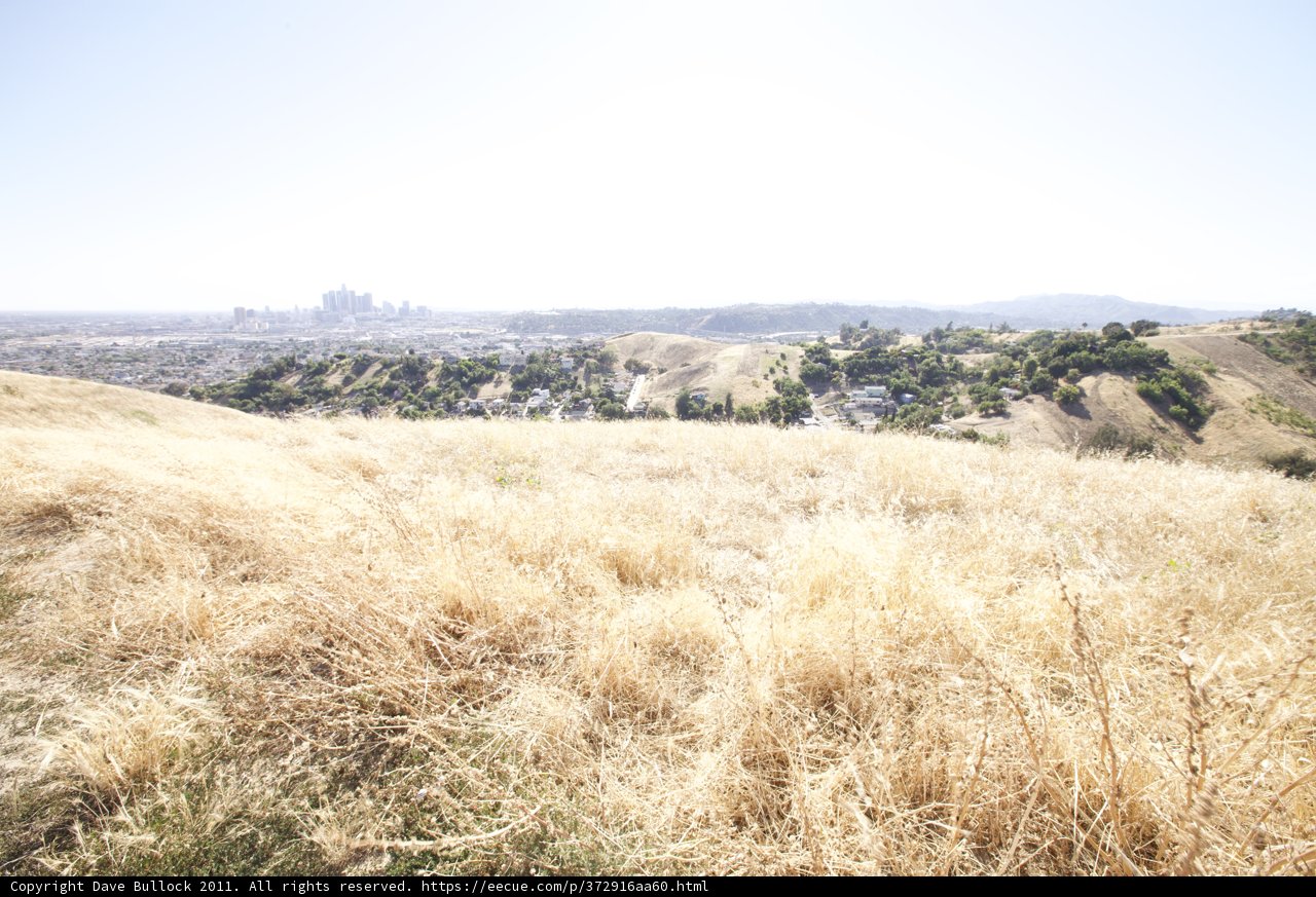 Majestic View of the City from the Grassland Hill