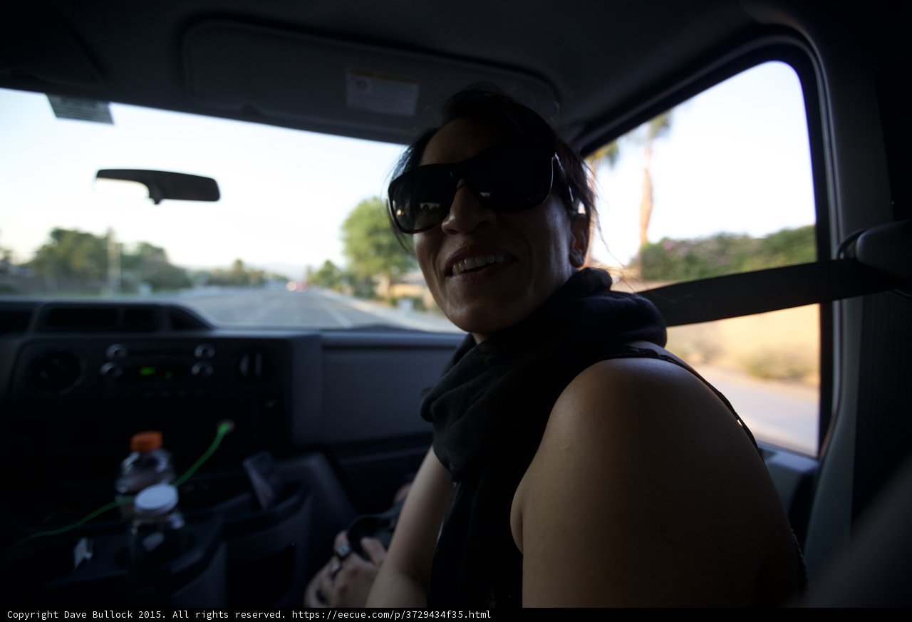 Backseat Shades
