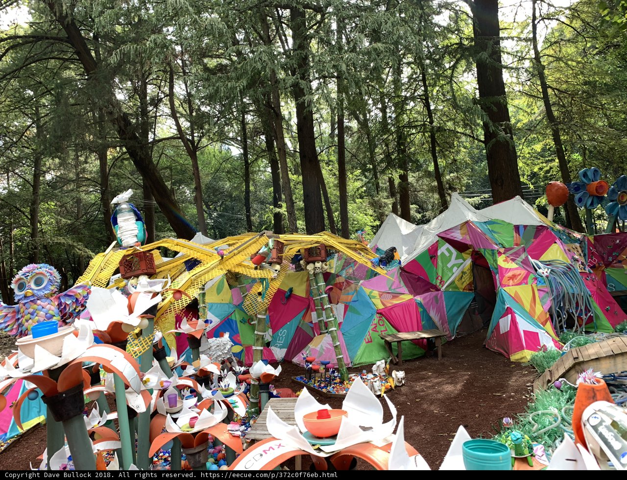 Colorful Tents in the Woodland