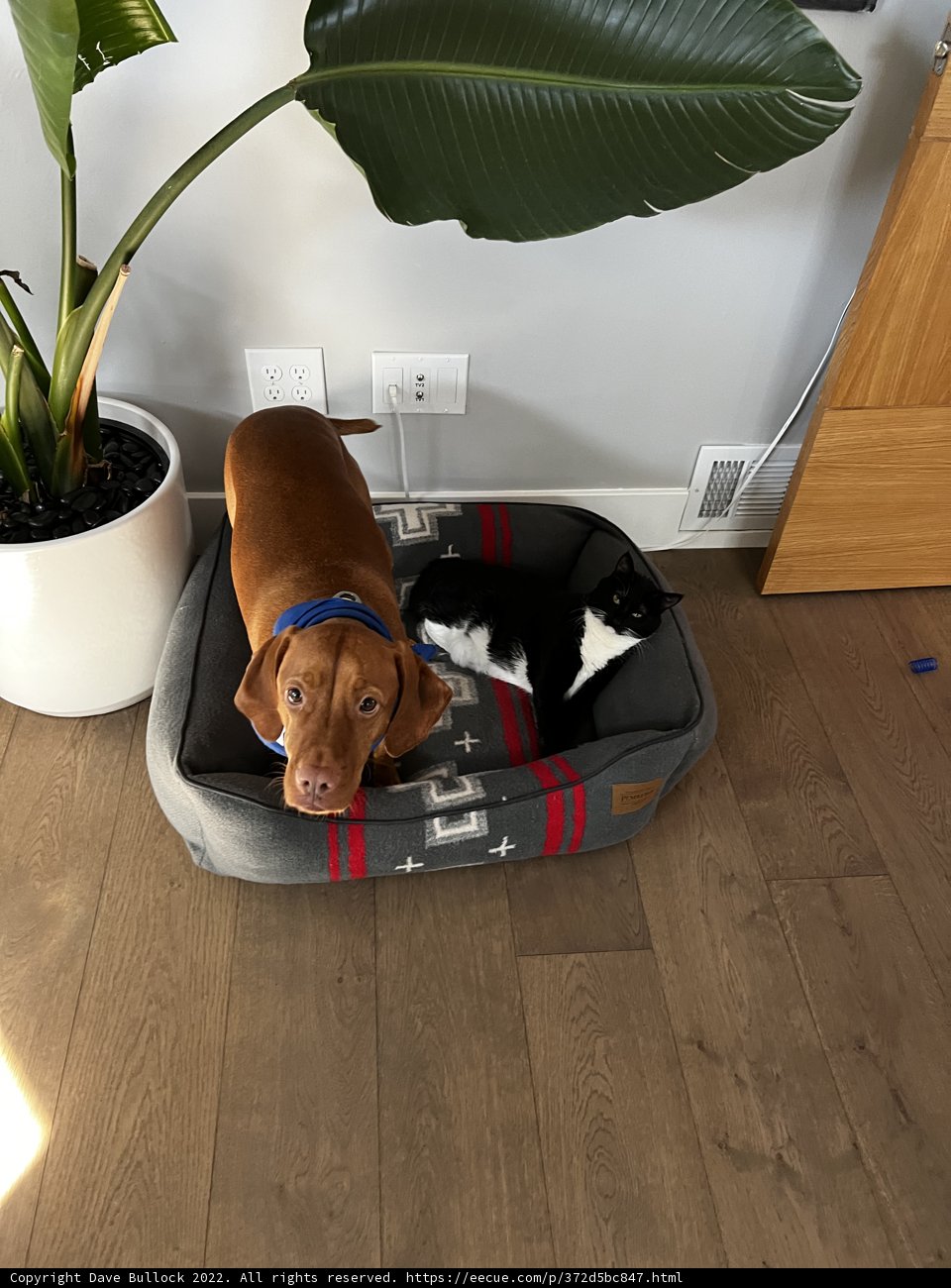A Peaceful Coexistence
