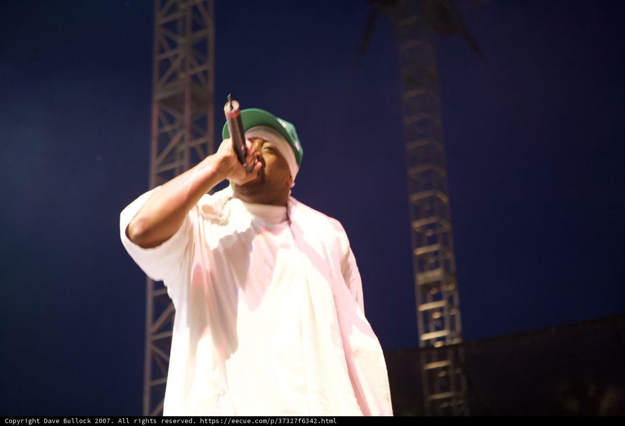 Green Hat Soloist Rocks Coachella Stage