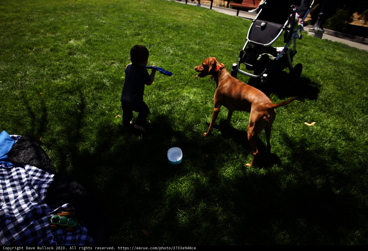 A Sunny Day at Delores Park: Boy's Best Friend Moment