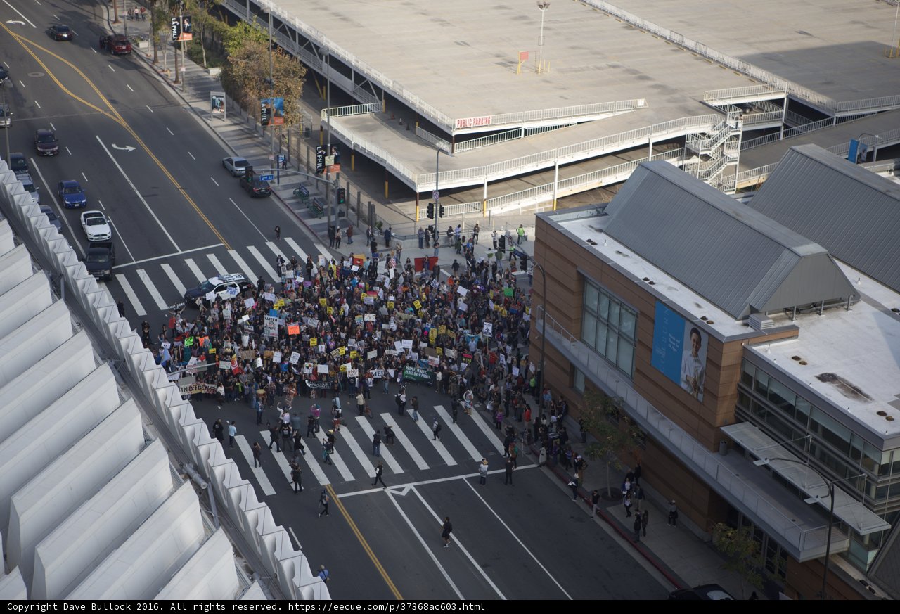 Massive Crowd Takes Over Downtown Street