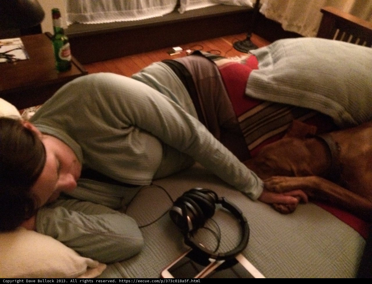 Sweet Dreams with my Furry Friend
