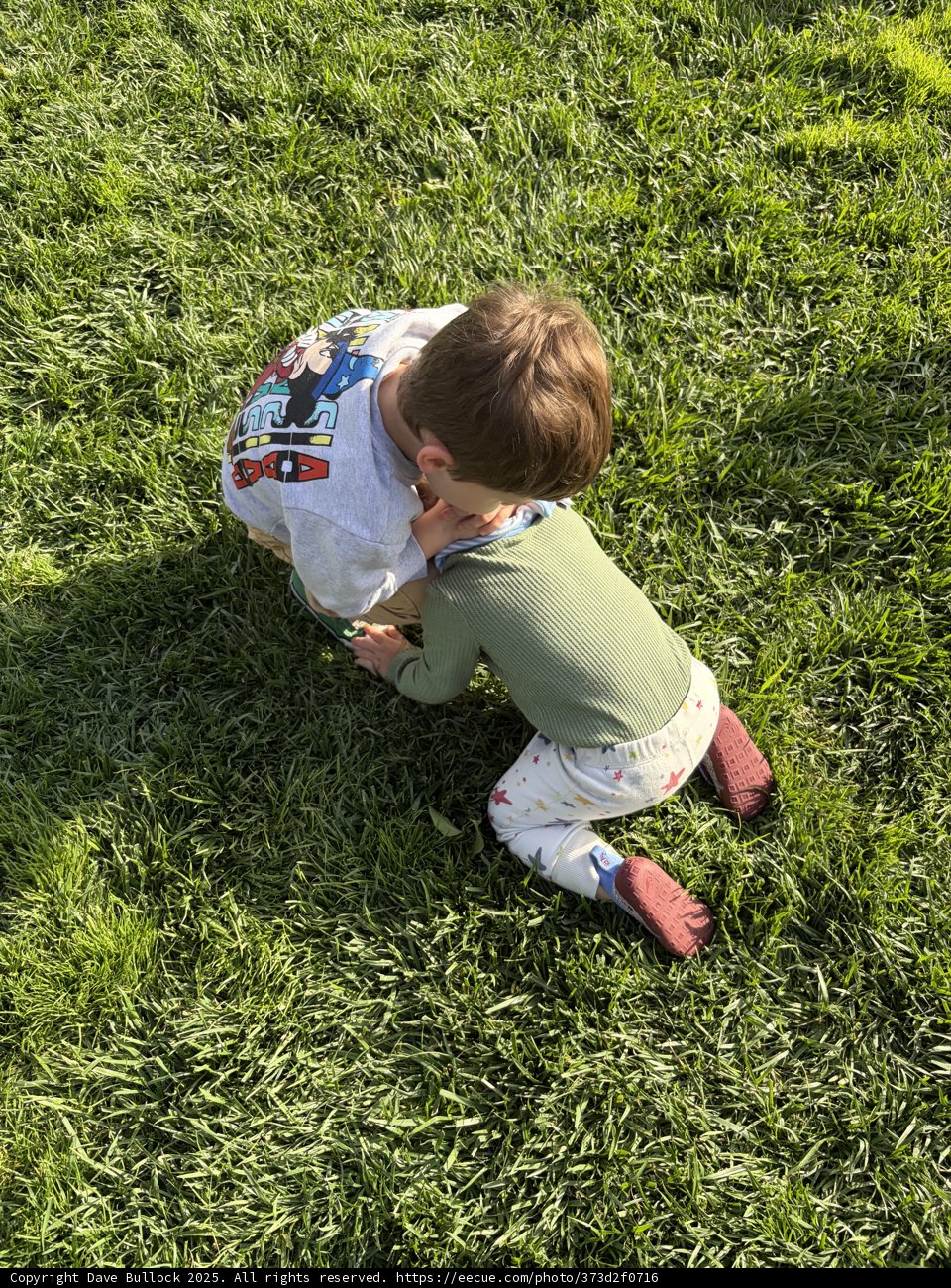 Little Explorer's Moment