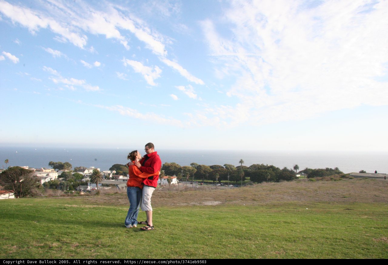 Overlooking the Ocean