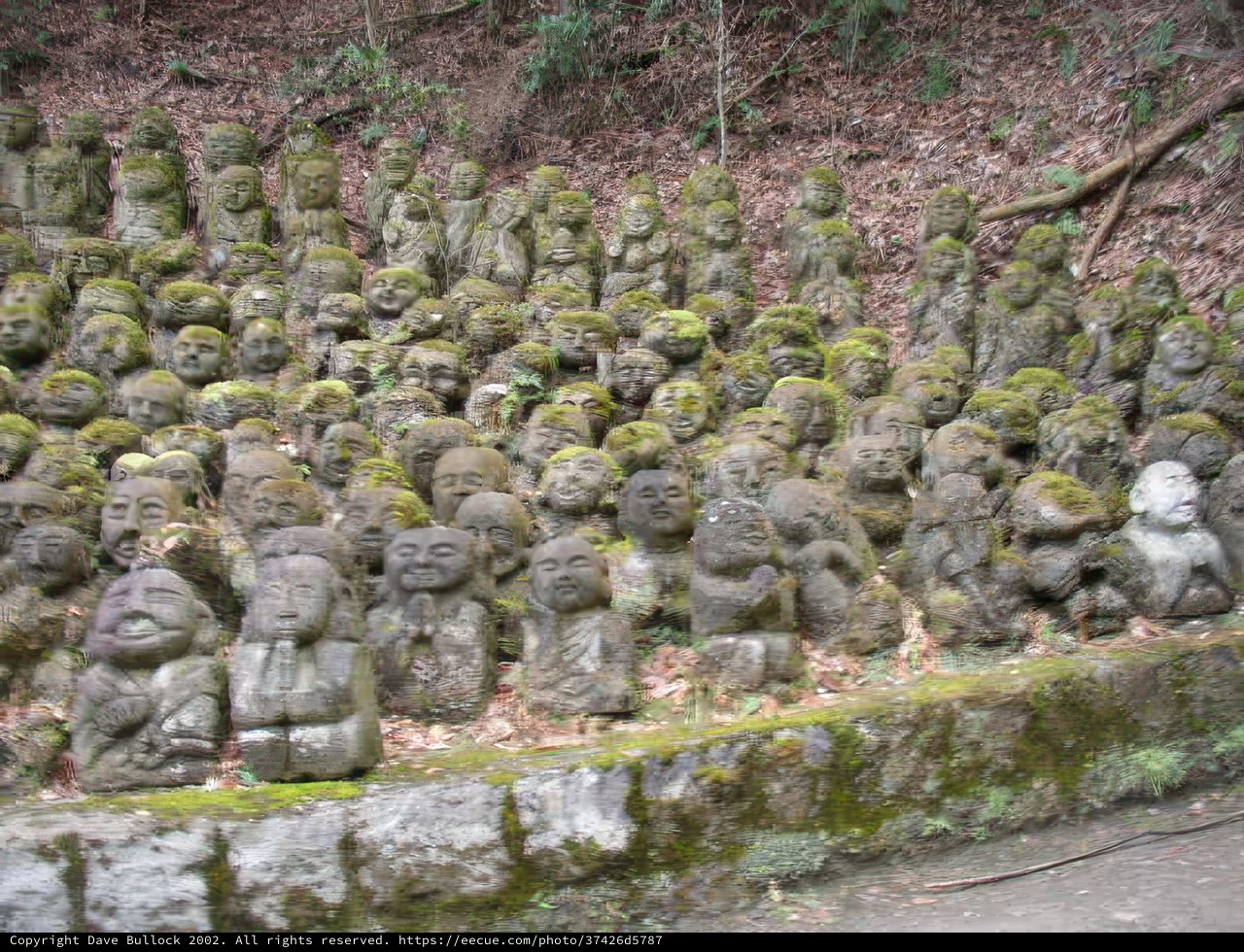 Stone Guardians of the Forest