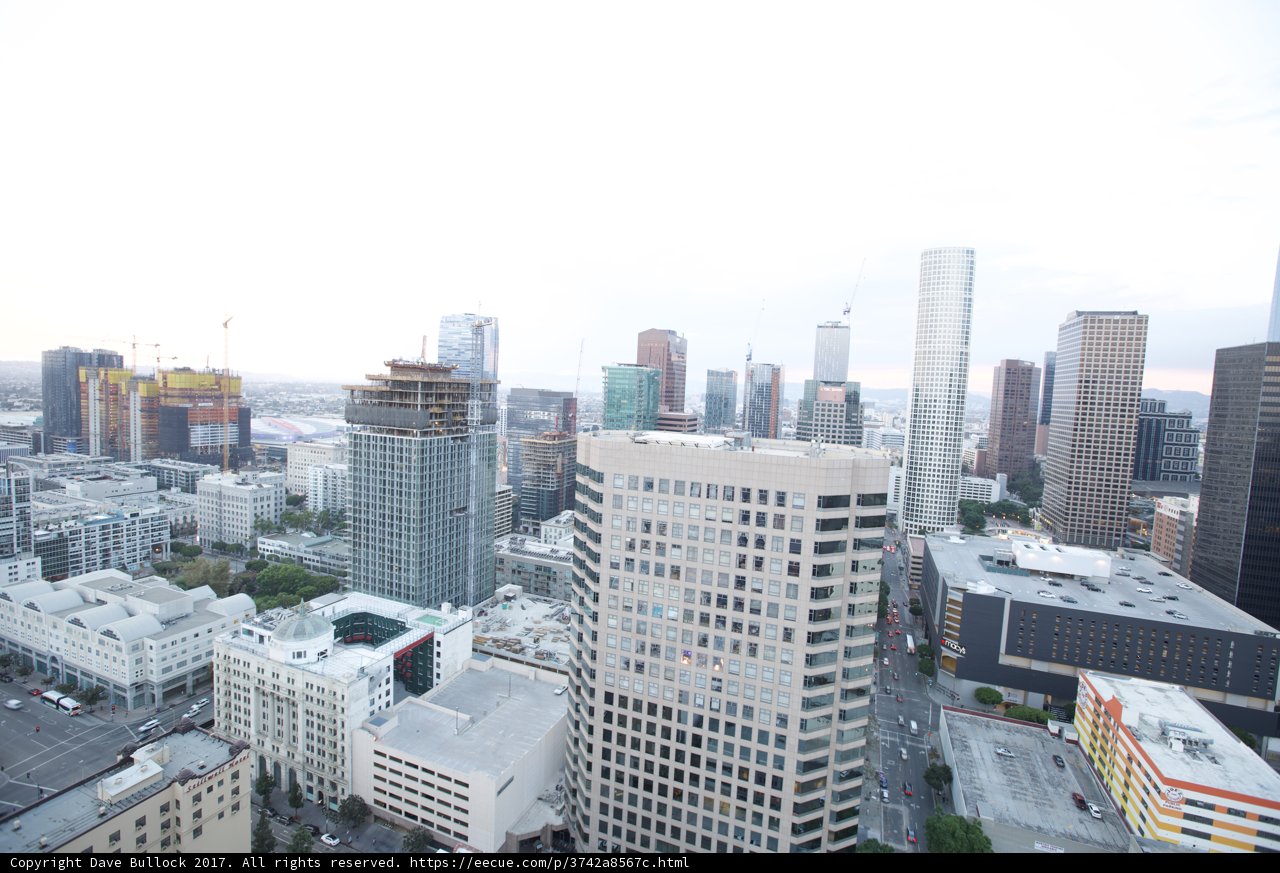 Overlooking the Urban Metropolis