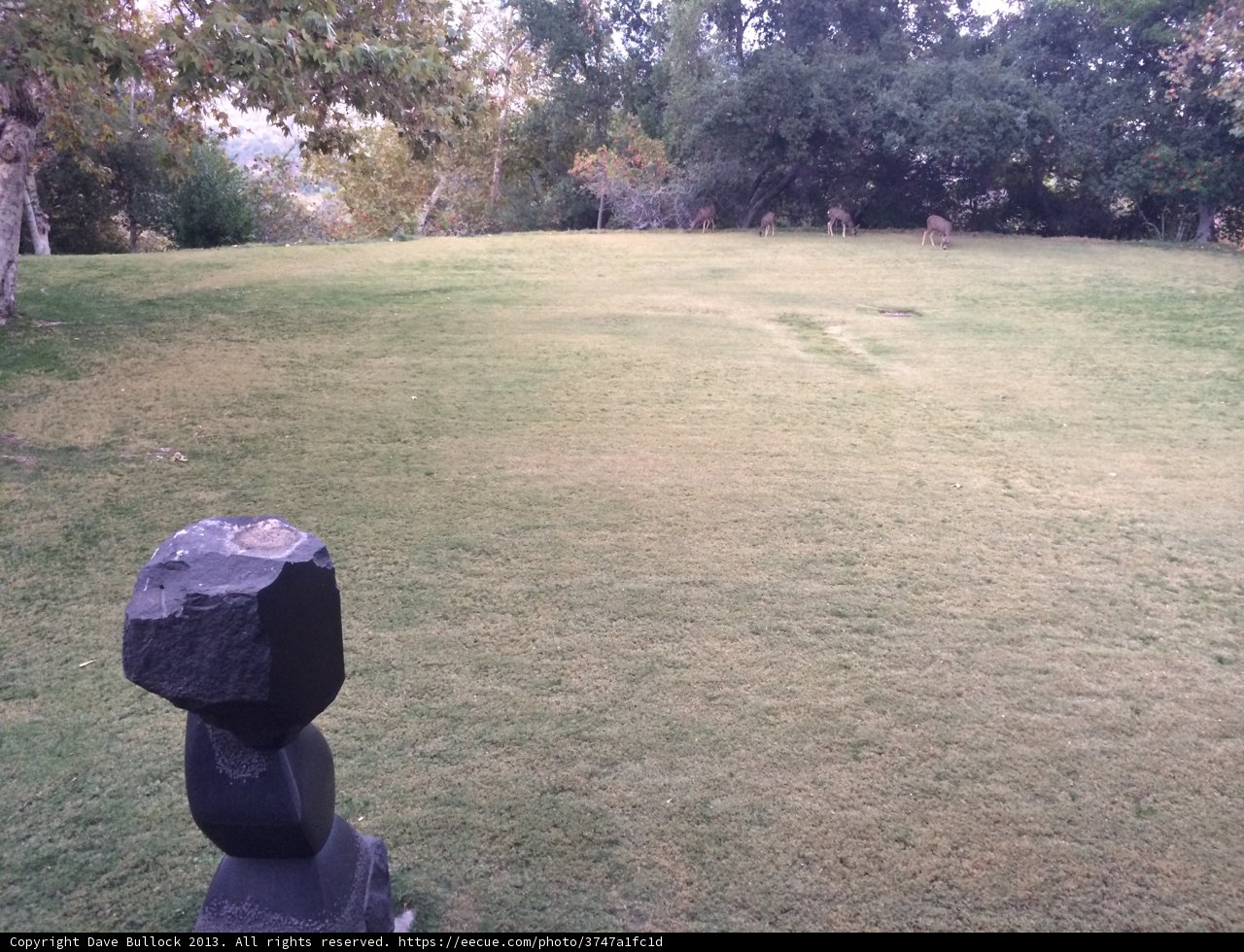 Lone Statue in a Verdant Field