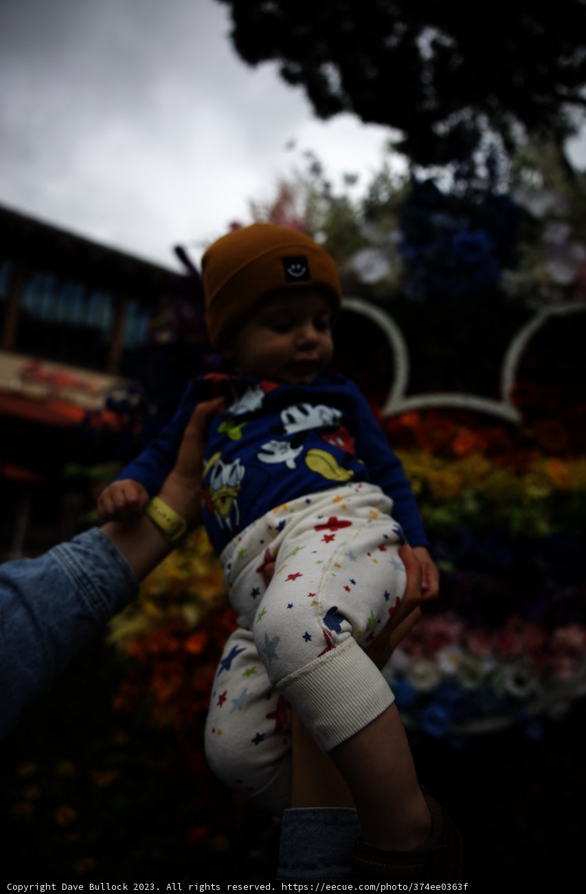 Blooming Memories at Disneyland