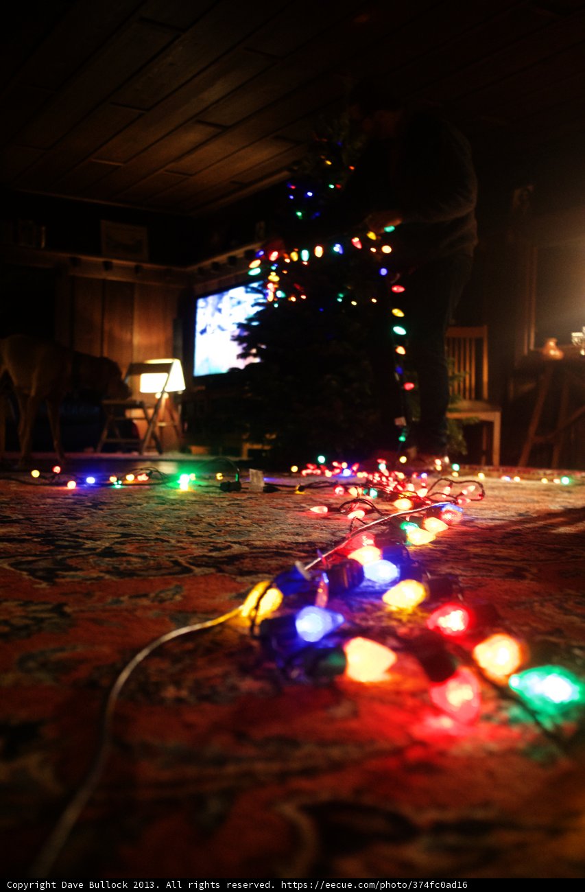 Christmas Cheer by the Tree