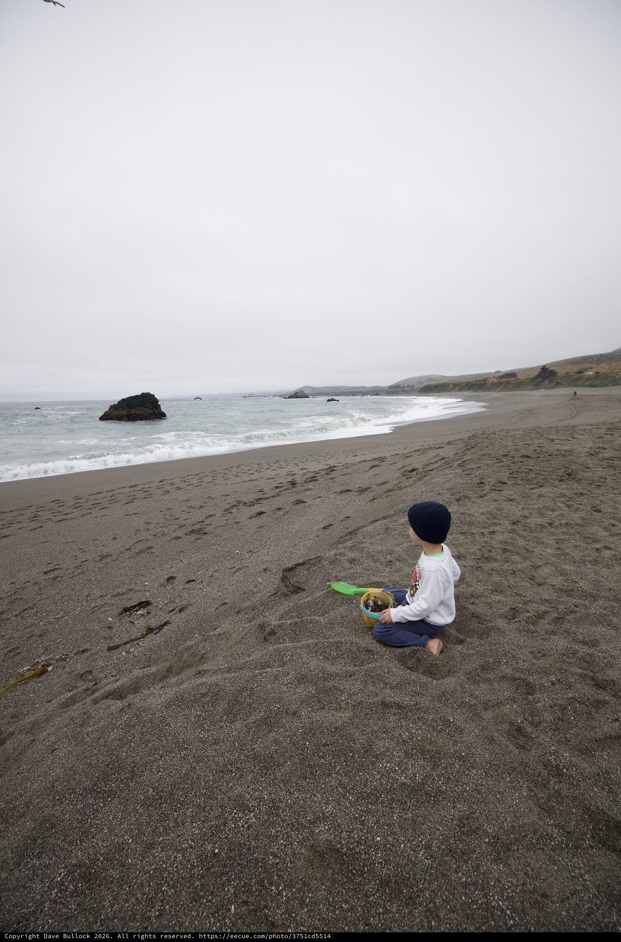 Child Gazes at the Pacific on a Misty Beach Day