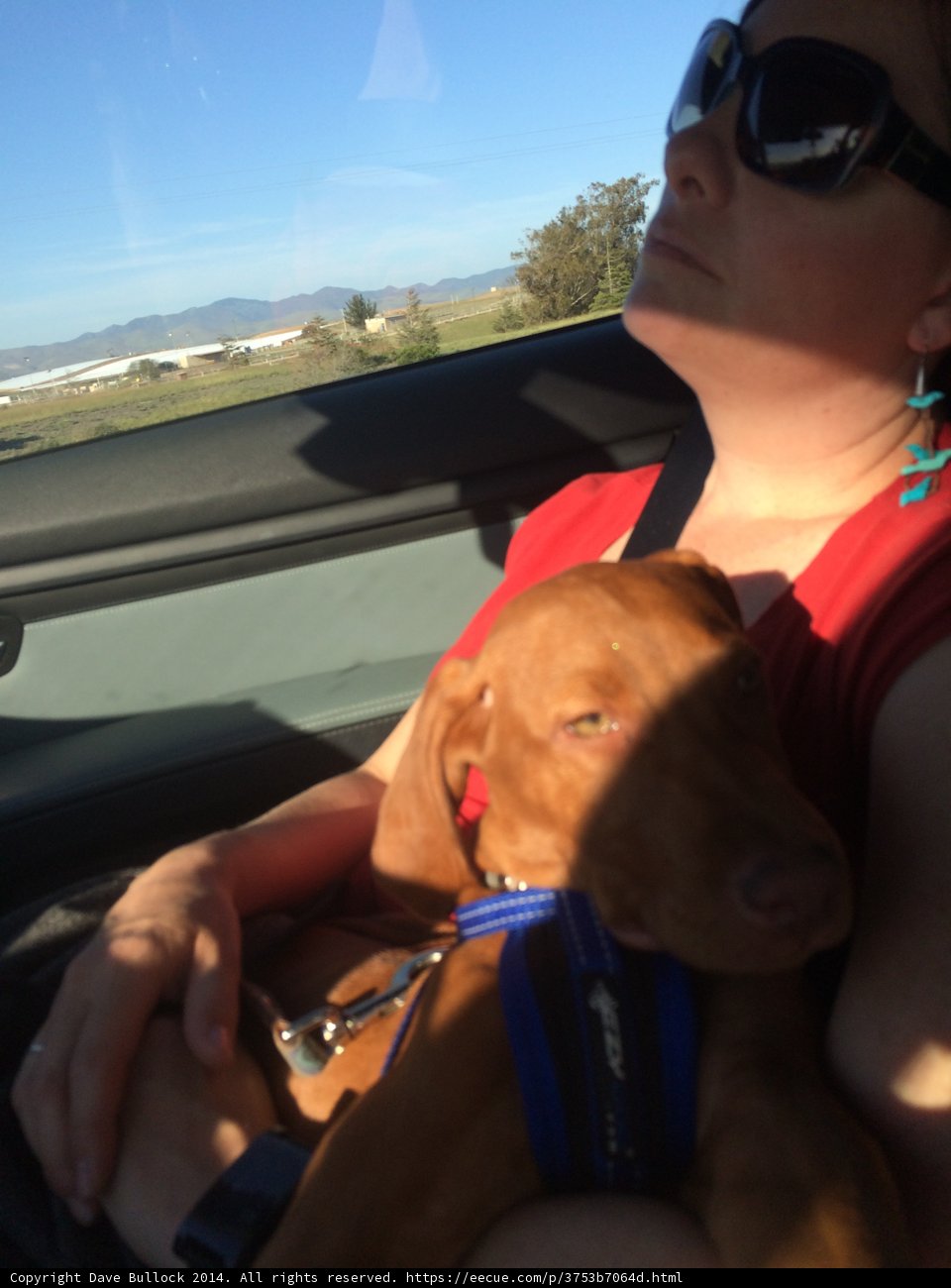 On the Road with My Best Friend