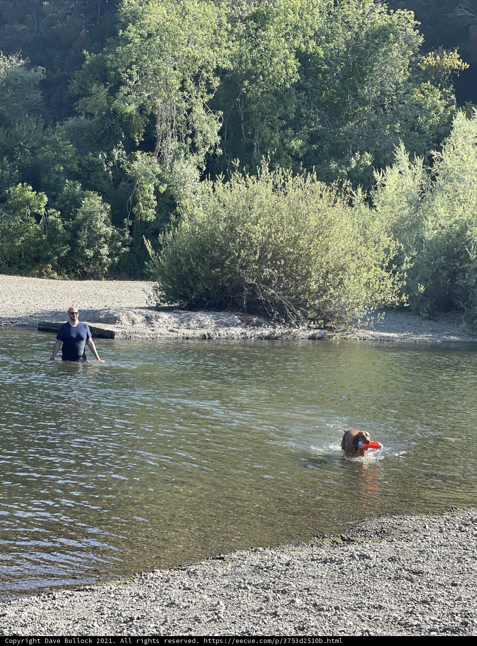 Canoeing with Man's Best Friend