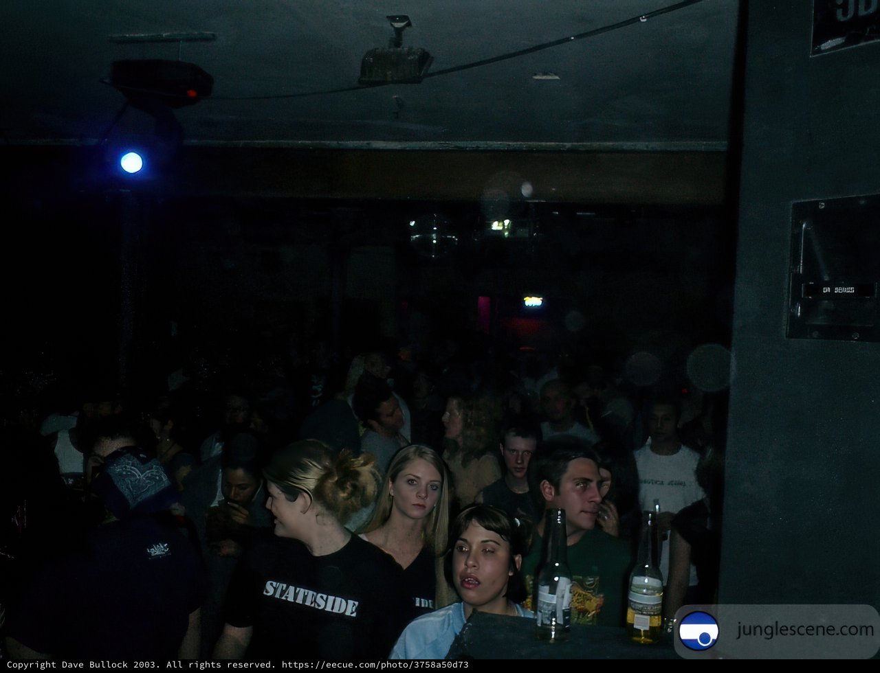 Blue Nightclub Crowd