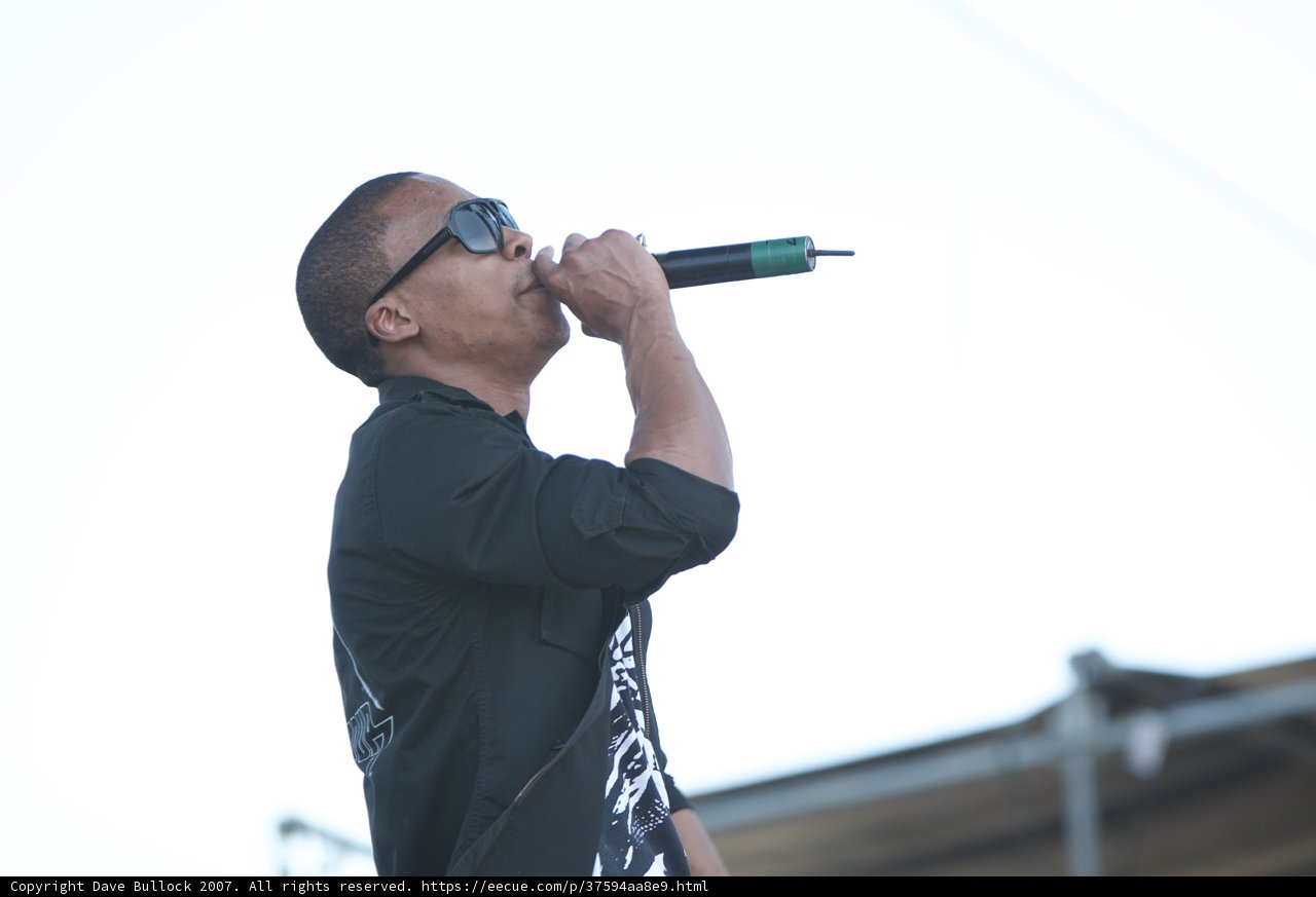 Sunglasses Serenade