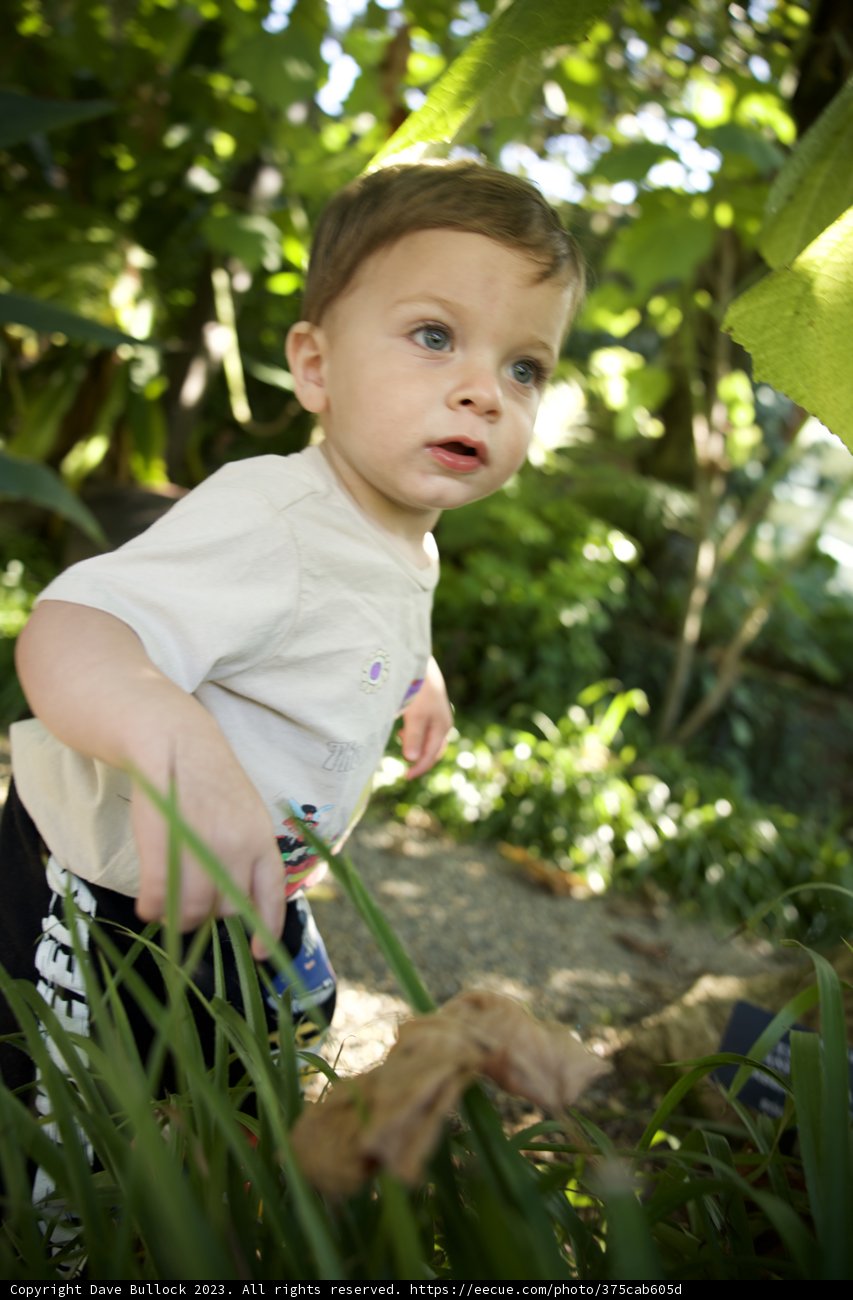 Little Explorer in Nature
