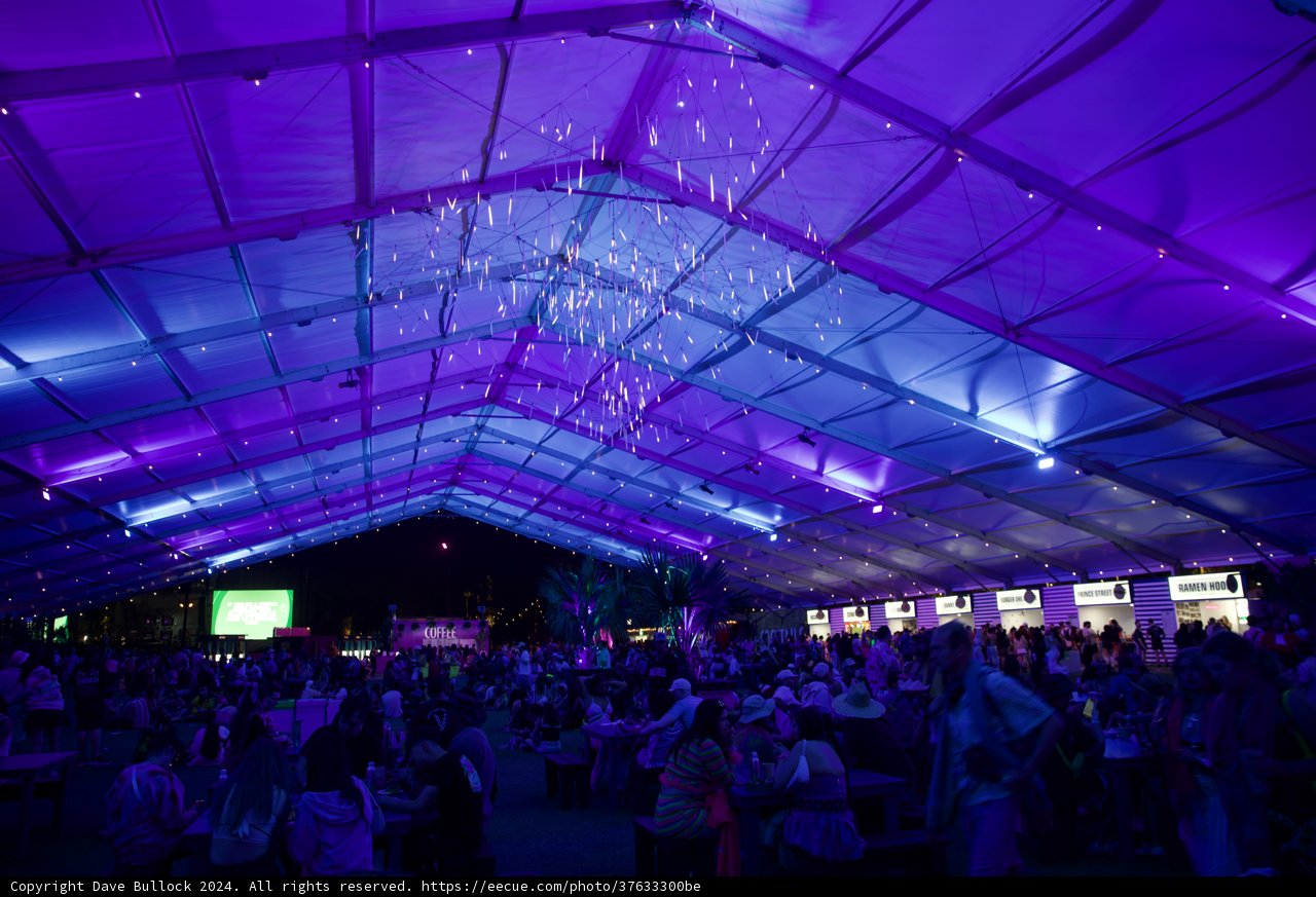 Enchanted Evening at Coachella 2024: A Glittering Gathering