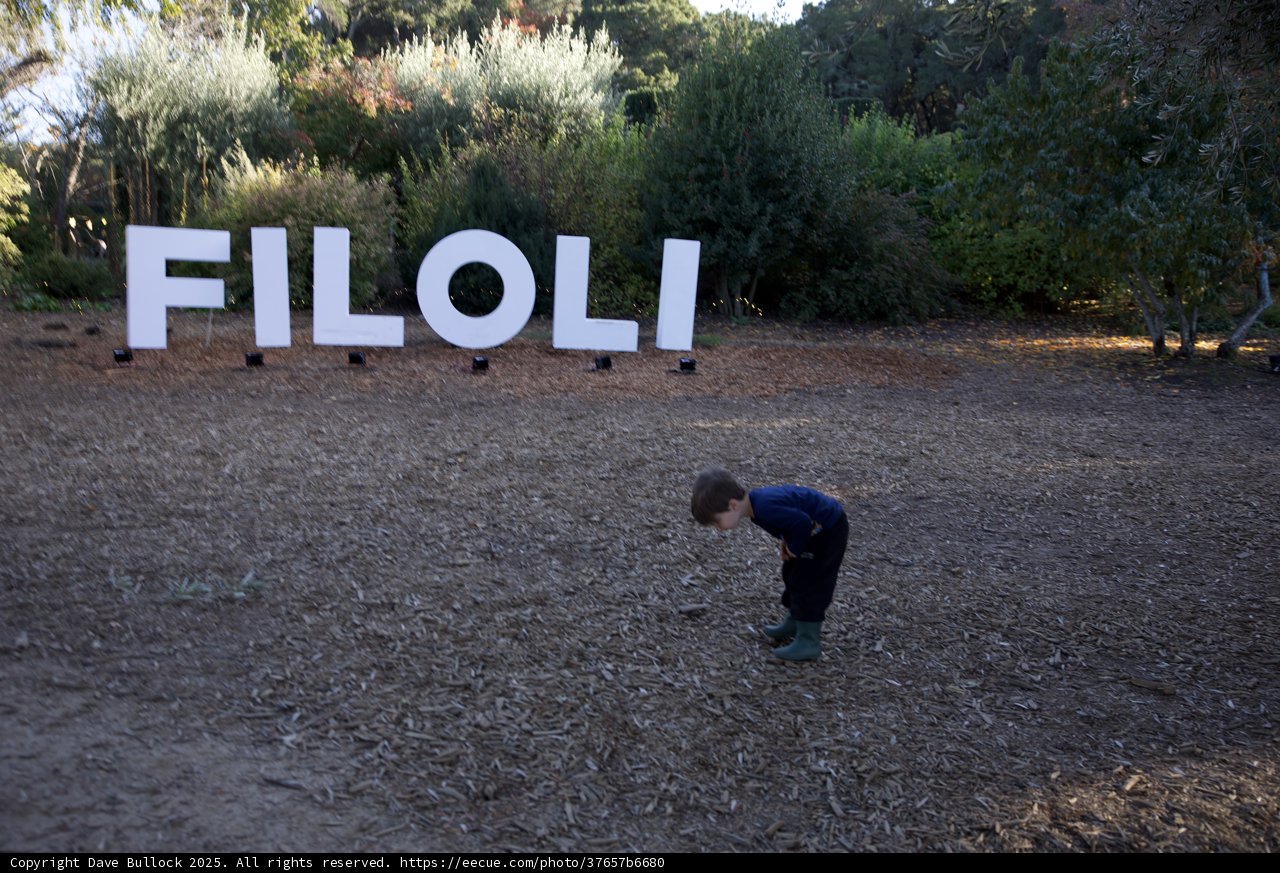 Exploring Filoli
