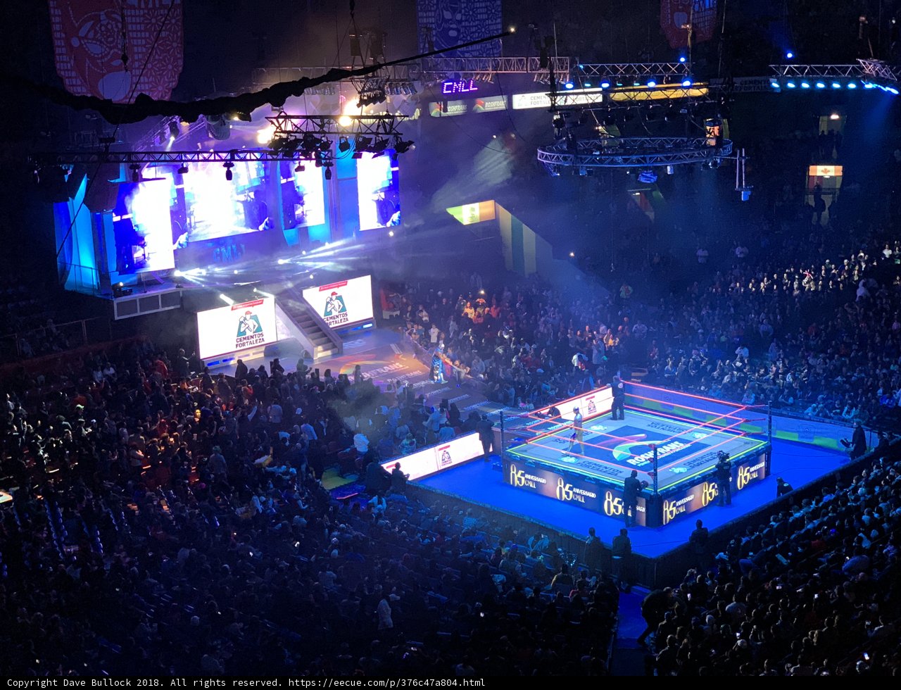 Battle Royale in the Spotlight