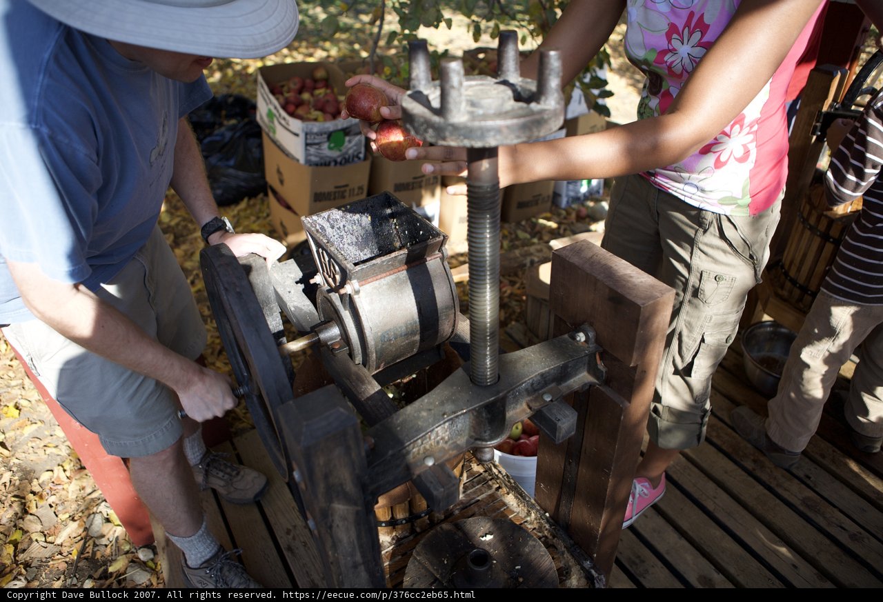 Working on the Apple Farm Machine