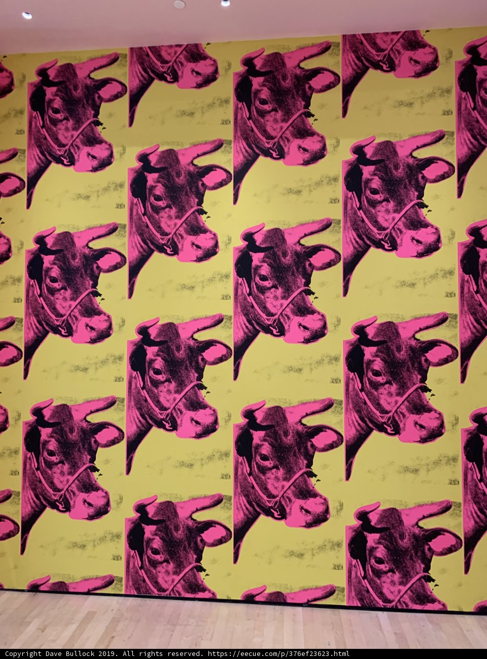 Pink and Yellow Cow Head Mural on Wall