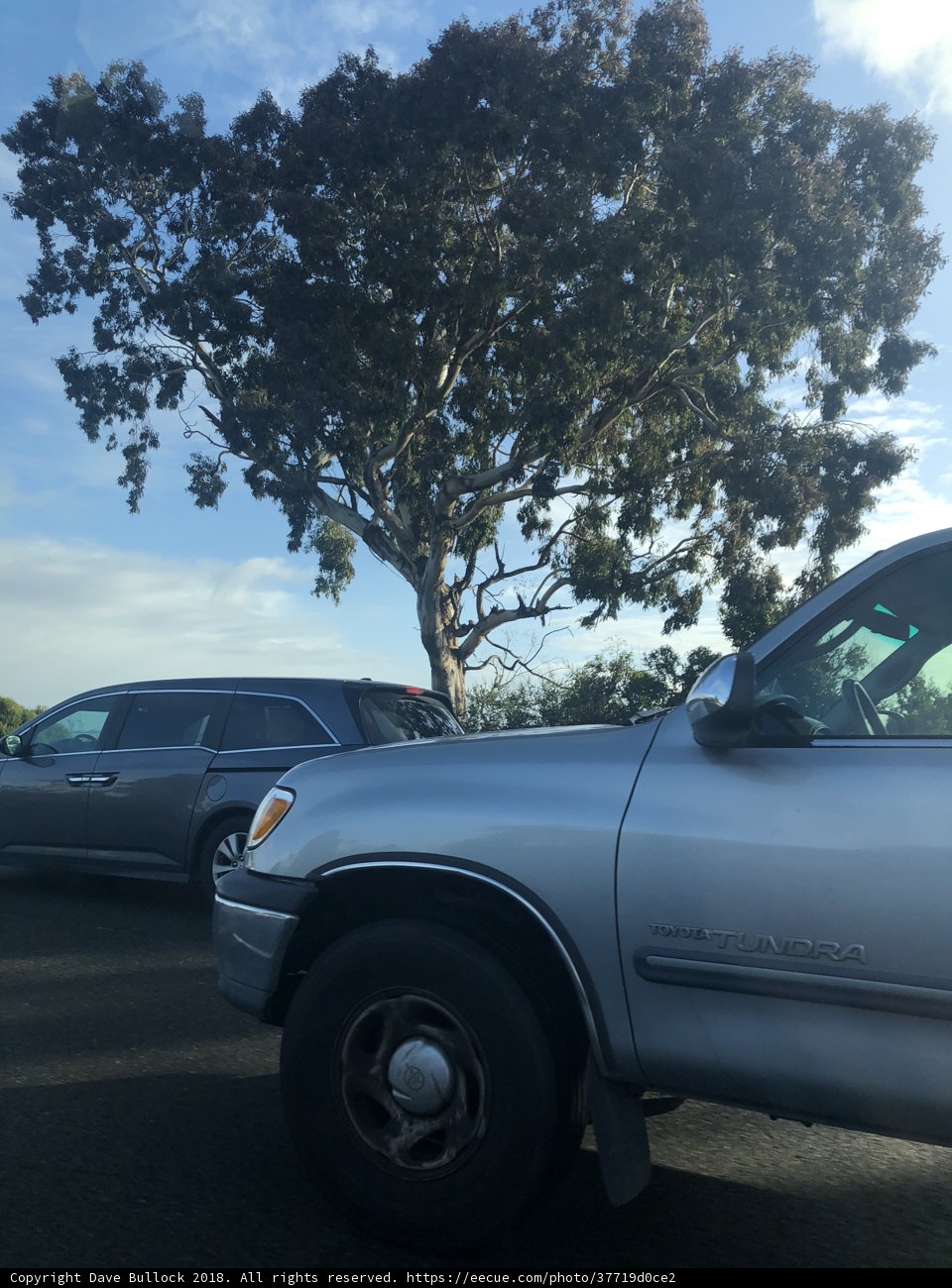 Parked next to Nature