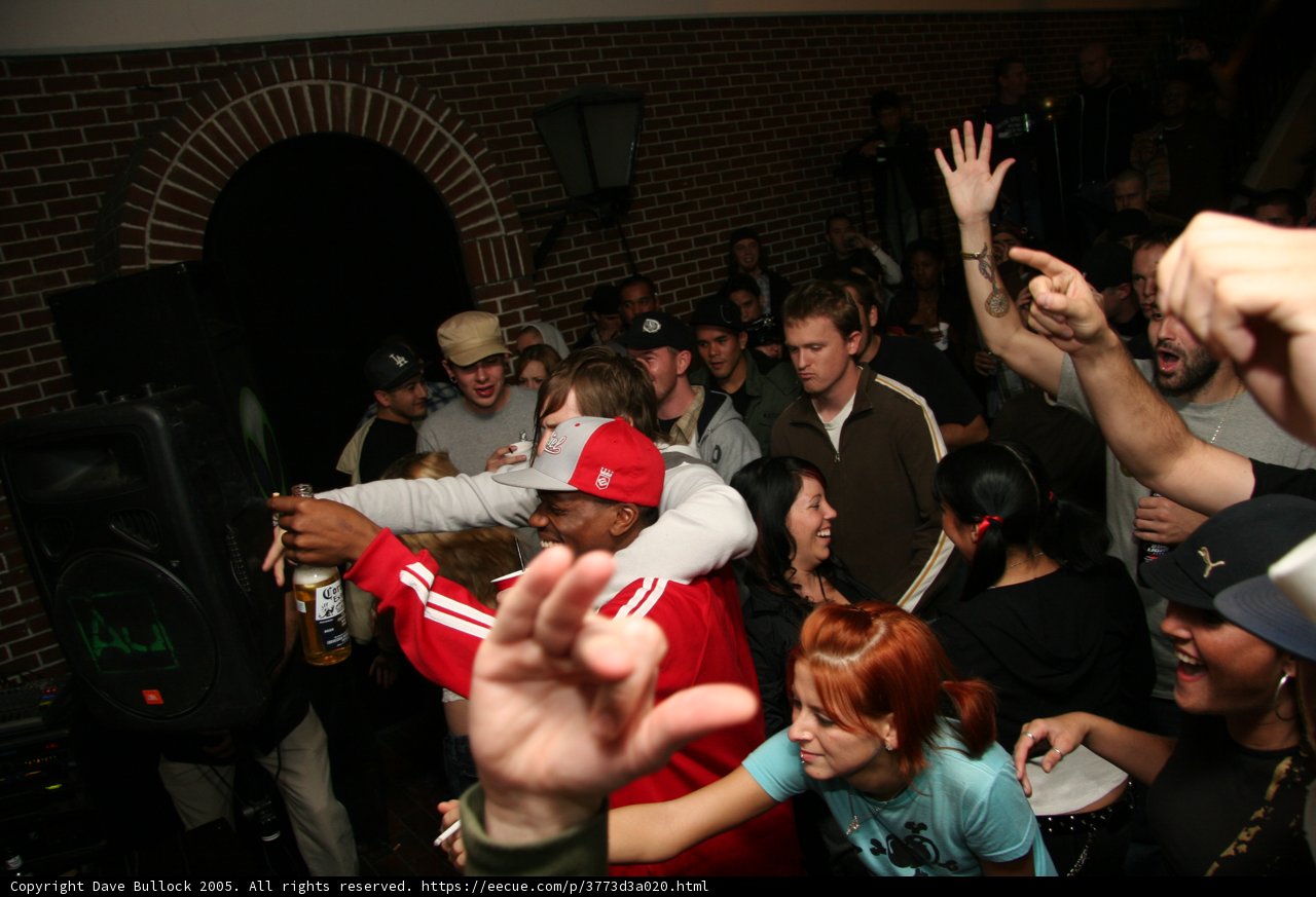 Partygoers united