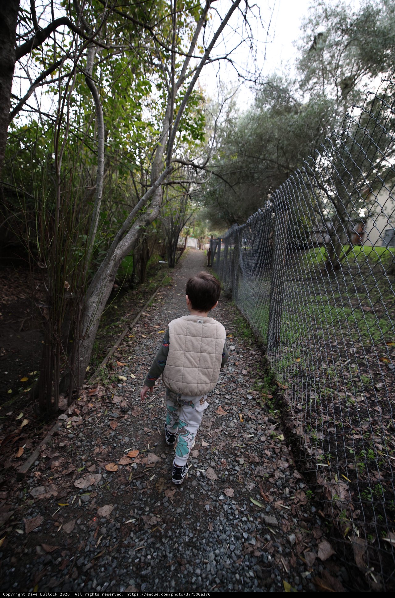 Young Child Walking Alone on Gravel Path