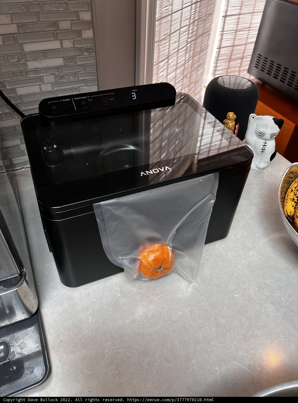 Printing with a Side of Oranges