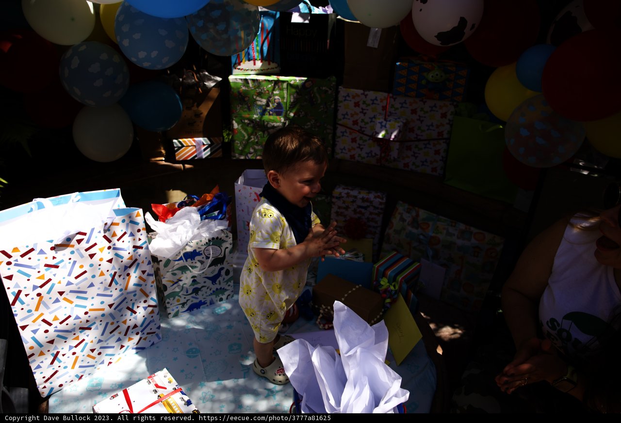 Wesley's First Birthday Celebration