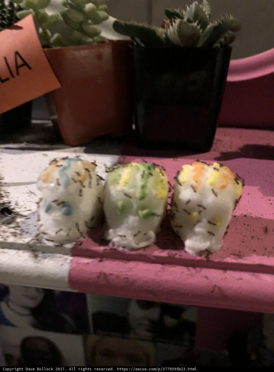 A Feast of Sushi