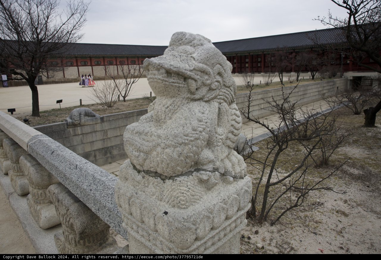 Mystical Dragon Guardian in Korea