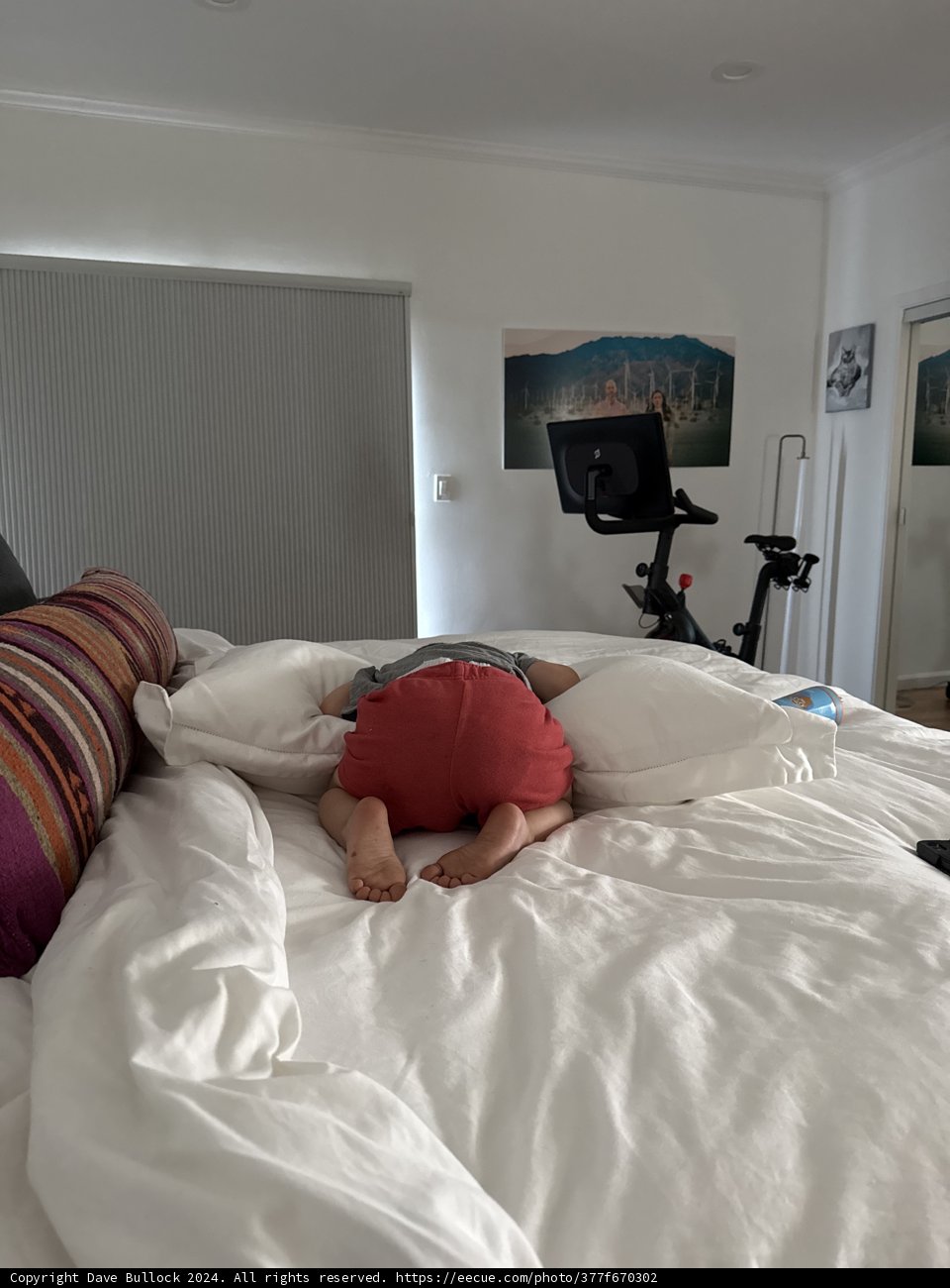 Cozy Afternoon Escape