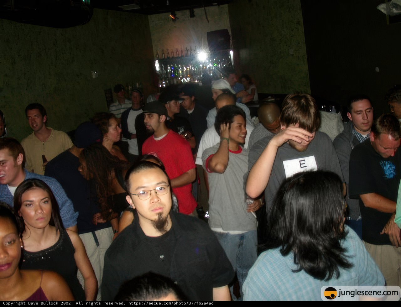 Nightclub Crowd