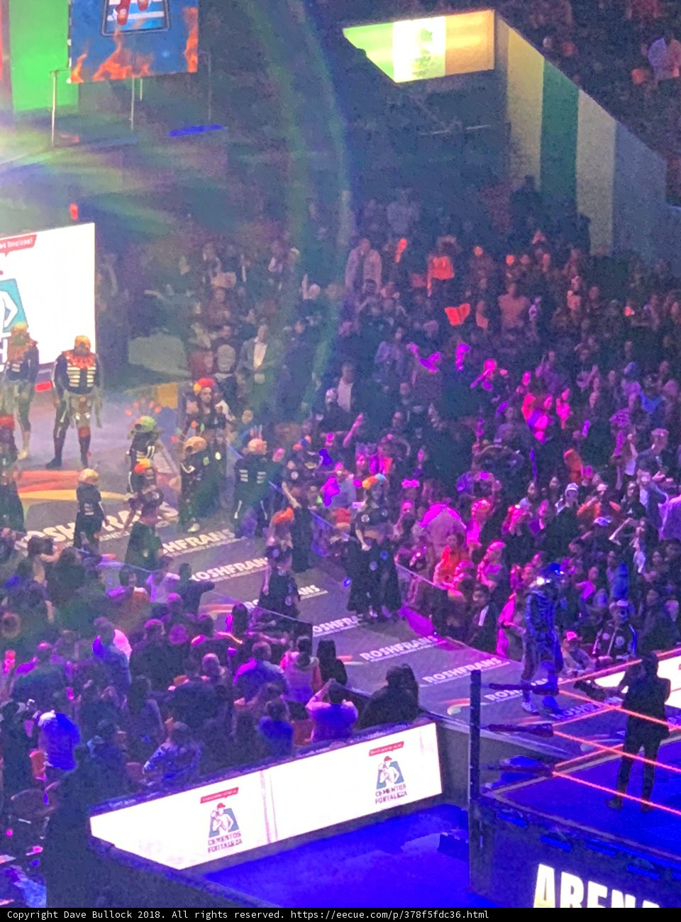 The Ultimate Showdown: Wrestling Match